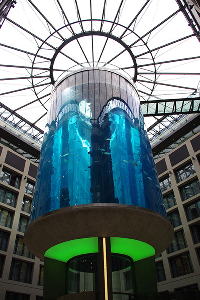 Aquarium hotel berlin